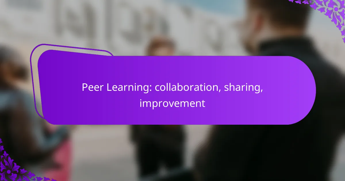Peer Learning: collaboration, sharing, improvement