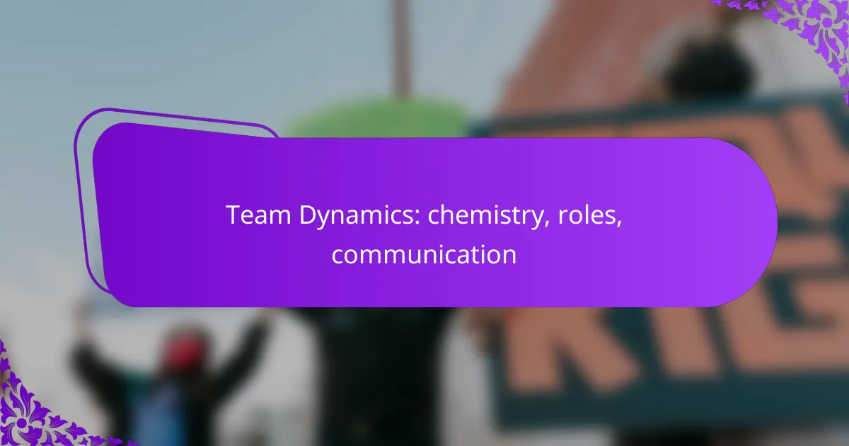 Team Dynamics: chemistry, roles, communication