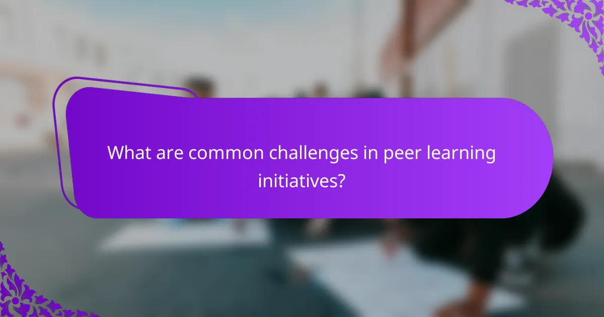 What are common challenges in peer learning initiatives?